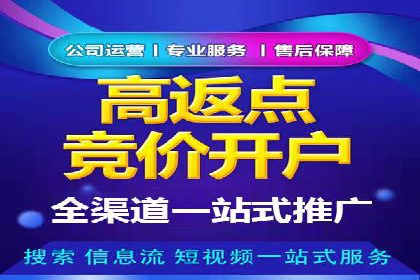 百度搜索推广案例解析：优化策略大揭秘